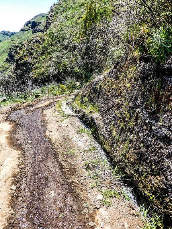 15.05.2019 Das Felsentor an der Levada do Lombo do Mouro — Auf dem Beginn der Levada do Lombo do Mouro — Foto 7