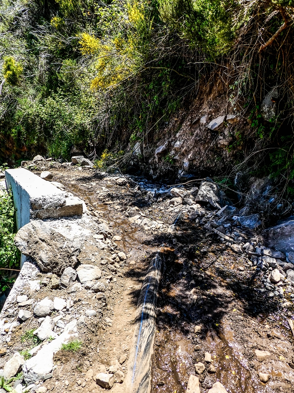 15.05.2019 Das Felsentor an der Levada do Lombo do Mouro — Auf dem Beginn der Levada do Lombo do Mouro — Foto 8