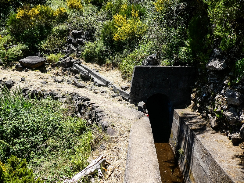 15.05.2019 Wenn ich schon mal hier bin: Levada das Rabacas — Auf der Levada das Rabacas bis zum kurzen Tunnel — Foto 10
