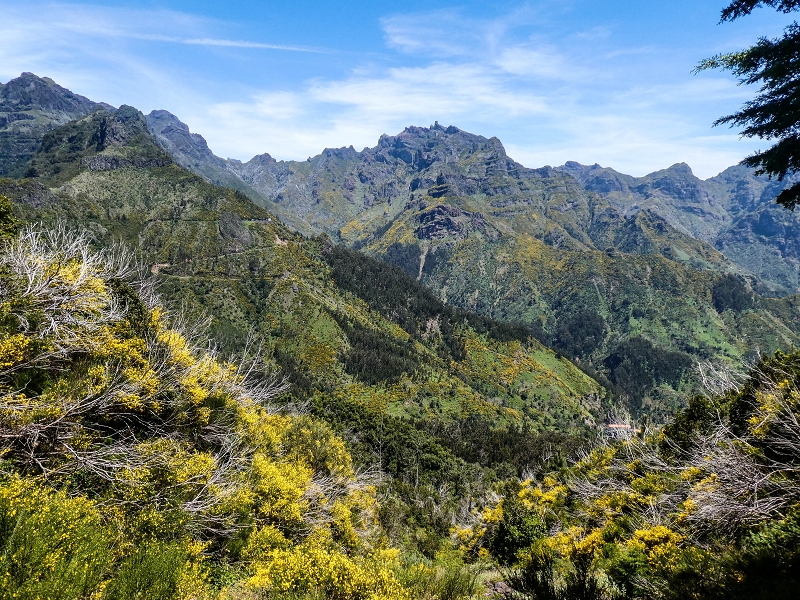 Levada das Rabacas — : Bis zum Zusammenfluss mit der Levada do Norte zum  — photo 8