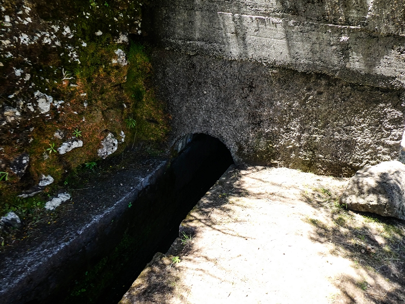 15.05.2019 Wenn ich schon mal hier bin: Levada das Rabacas — Auf der Levada das Rabacas bis zum kurzen Tunnel — Foto 12