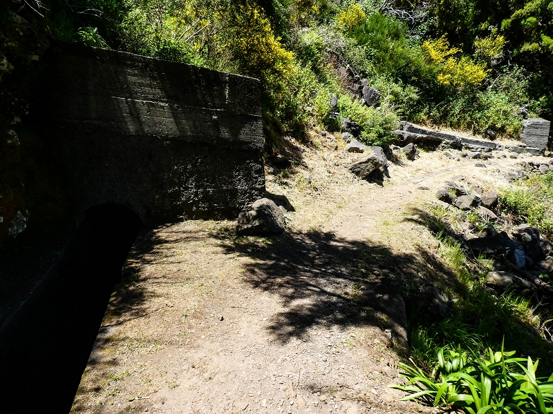 15.05.2019 Wenn ich schon mal hier bin: Levada das Rabacas — Auf der Levada das Rabacas bis zum kurzen Tunnel — Foto 13