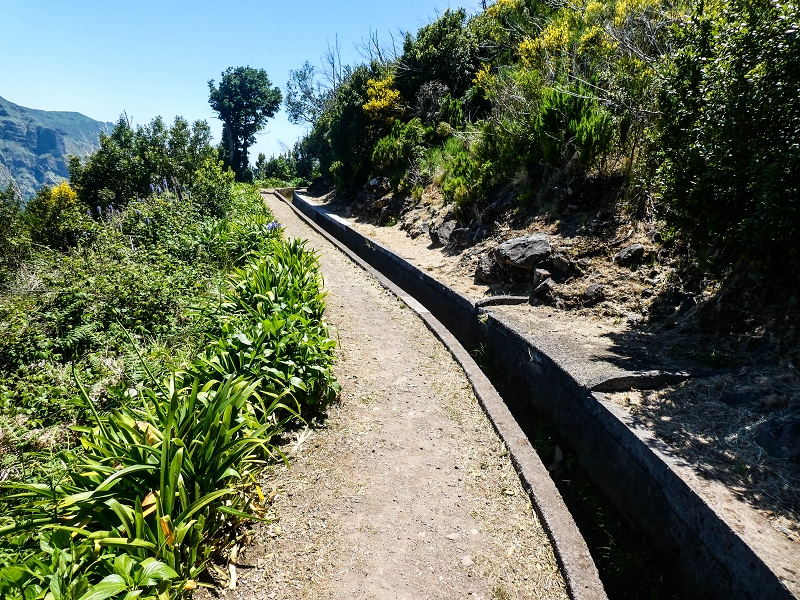 15.05.2019 Wenn ich schon mal hier bin: Levada das Rabacas — Auf der Levada das Rabacas bis zum kurzen Tunnel — Foto 14
