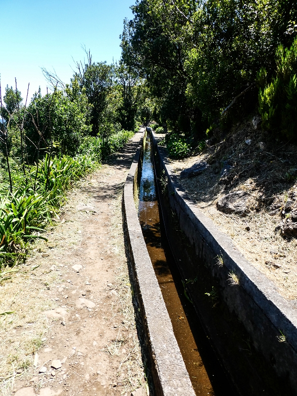 15.05.2019 Wenn ich schon mal hier bin: Levada das Rabacas — Auf der Levada das Rabacas bis zum kurzen Tunnel — Foto 15