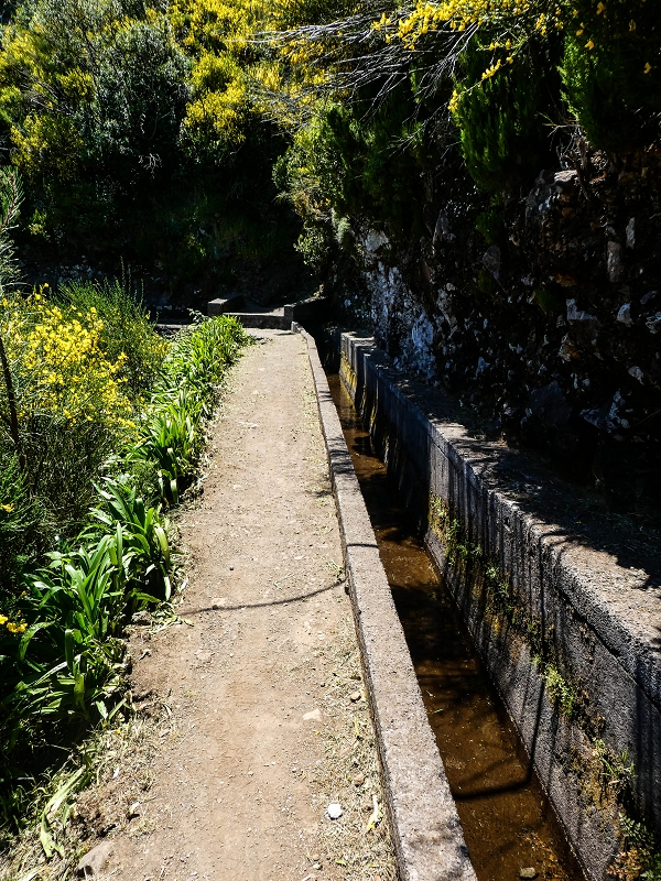 15.05.2019 Wenn ich schon mal hier bin: Levada das Rabacas — Auf der Levada das Rabacas bis zum kurzen Tunnel — Foto 16