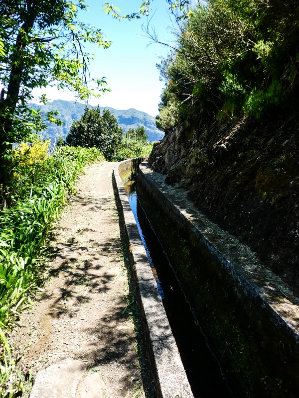 15.05.2019 Wenn ich schon mal hier bin: Levada das Rabacas — Auf der Levada das Rabacas bis zum kurzen Tunnel — Foto 17