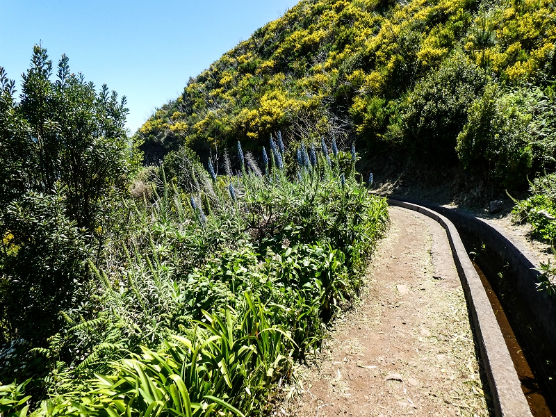 15.05.2019 Wenn ich schon mal hier bin: Levada das Rabacas — Auf der Levada das Rabacas bis zum kurzen Tunnel — Foto 18