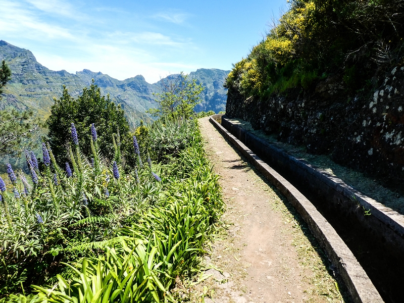 Levada das Rabacas — : Bis zum Zusammenfluss mit der Levada do Norte zum  — photo 4
