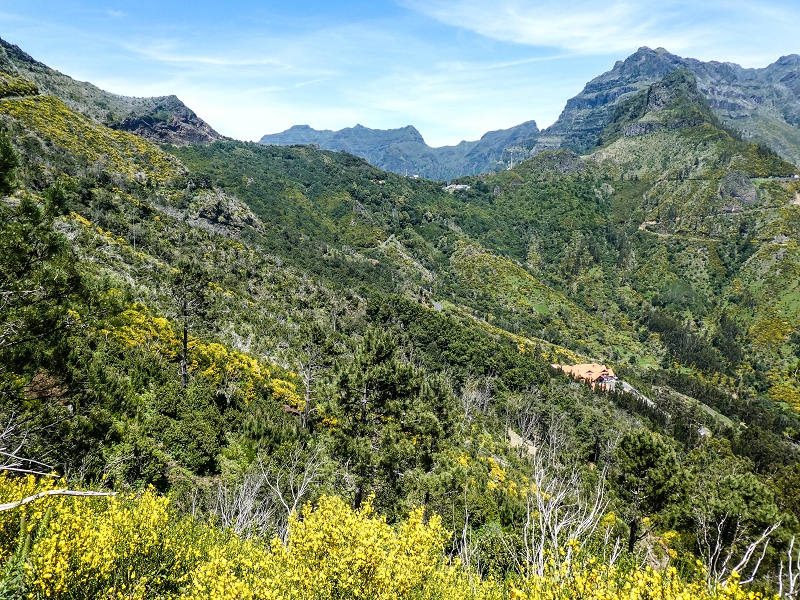 15.05.2019 Wenn ich schon mal hier bin: Levada das Rabacas — Auf der Levada das Rabacas bis zum kurzen Tunnel — Foto 20