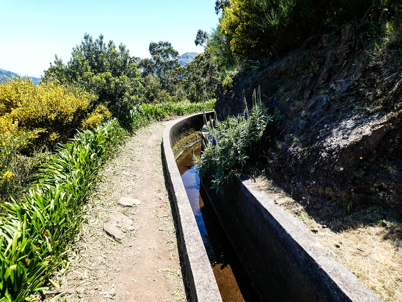 15.05.2019 Wenn ich schon mal hier bin: Levada das Rabacas — Auf der Levada das Rabacas bis zum kurzen Tunnel — Foto 21