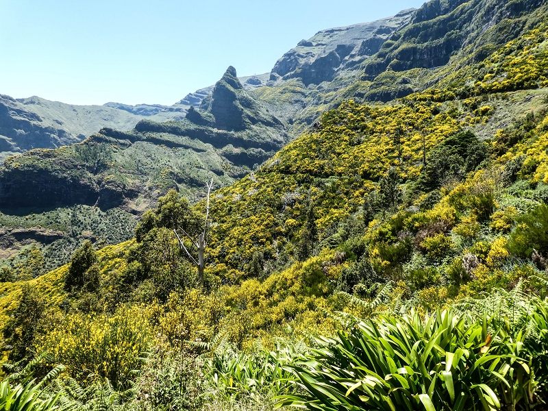 15.05.2019 Wenn ich schon mal hier bin: Levada das Rabacas — Auf der Levada das Rabacas bis zum kurzen Tunnel — Foto 22
