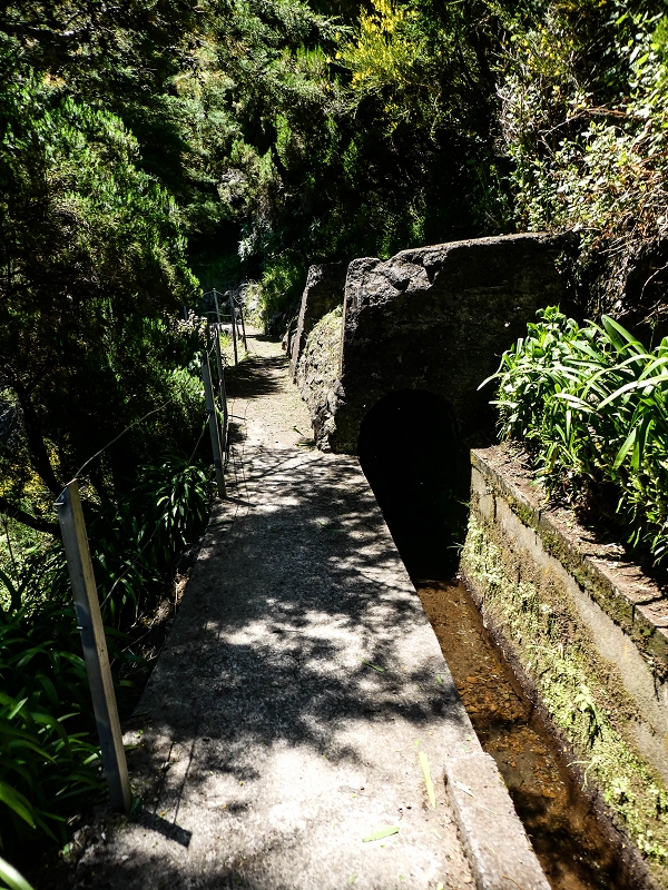 15.05.2019 Wenn ich schon mal hier bin: Levada das Rabacas — Auf der Levada das Rabacas bis zum kurzen Tunnel — Foto 24