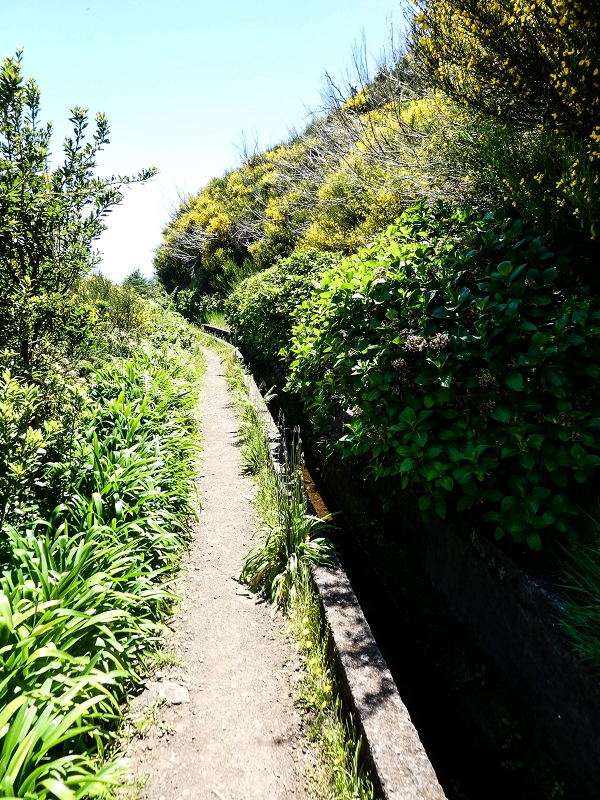 15.05.2019 Wenn ich schon mal hier bin: Levada das Rabacas — Auf der Levada das Rabacas bis zum kurzen Tunnel — Foto 25