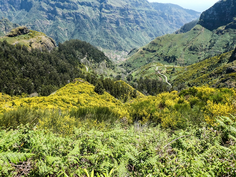 15.05.2019 Wenn ich schon mal hier bin: Levada das Rabacas — Auf der Levada das Rabacas bis zum kurzen Tunnel — Foto 26