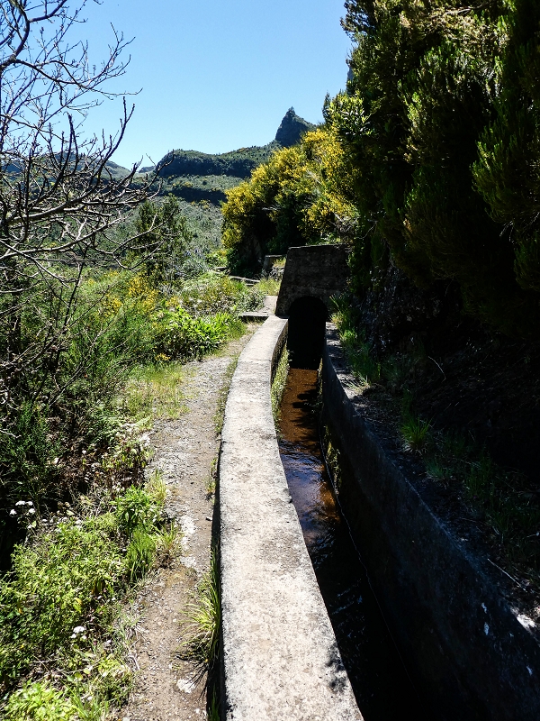 15.05.2019 Wenn ich schon mal hier bin: Levada das Rabacas — Auf der Levada das Rabacas bis zum kurzen Tunnel — Foto 28