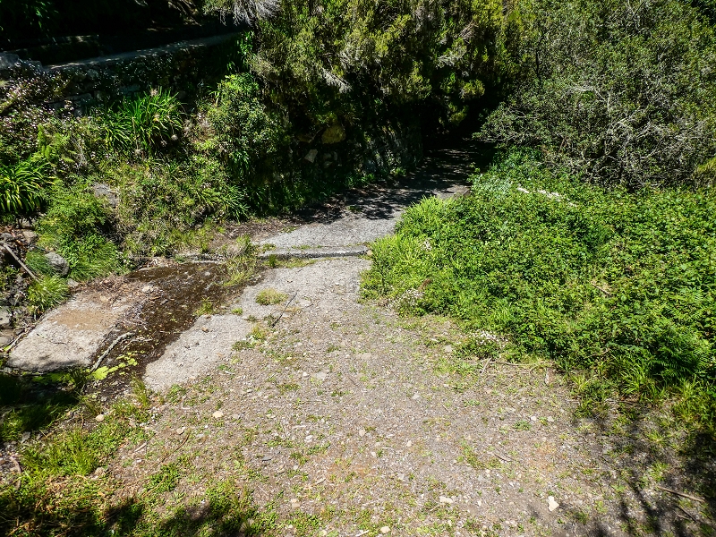15.05.2019 Wenn ich schon mal hier bin: Levada das Rabacas — Auf der Levada das Rabacas bis zum kurzen Tunnel — Foto 3