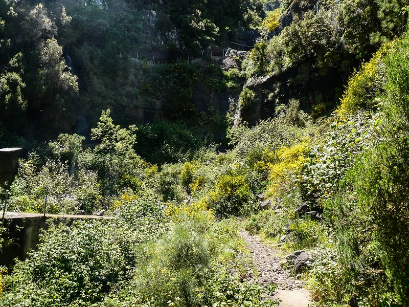 15.05.2019 Wenn ich schon mal hier bin: Levada das Rabacas — Auf der Levada das Rabacas bis zum kurzen Tunnel — Foto 30