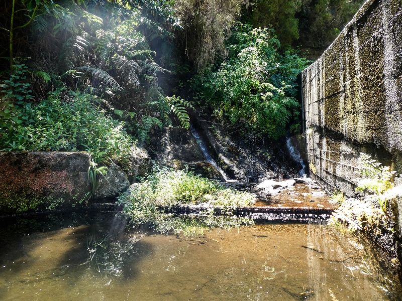 15.05.2019 Wenn ich schon mal hier bin: Levada das Rabacas — Auf der Levada das Rabacas bis zum kurzen Tunnel — Foto 31