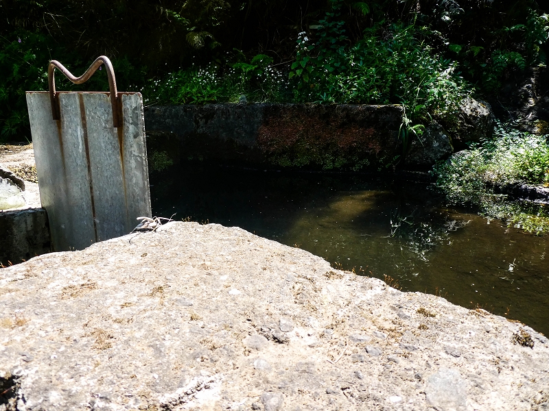 15.05.2019 Wenn ich schon mal hier bin: Levada das Rabacas — Auf der Levada das Rabacas bis zum kurzen Tunnel — Foto 32