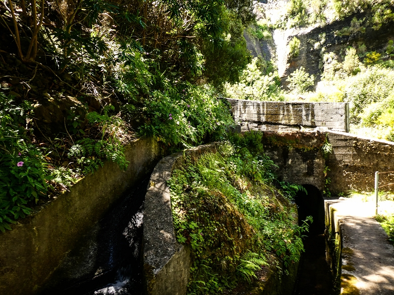 15.05.2019 Wenn ich schon mal hier bin: Levada das Rabacas — Auf der Levada das Rabacas bis zum kurzen Tunnel — Foto 33