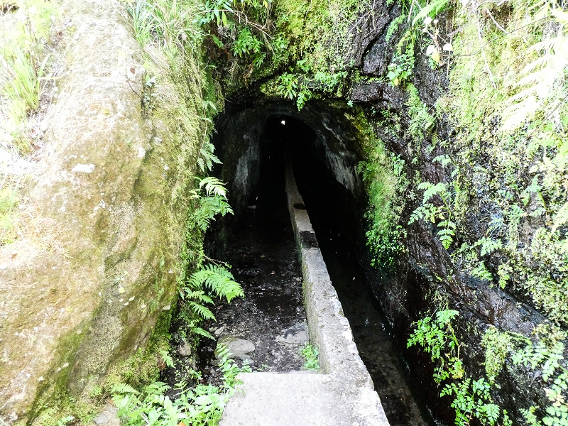 15.05.2019 Wenn ich schon mal hier bin: Levada das Rabacas — Durch den kurzen Tunnel zum langen Tunnel — Foto 1