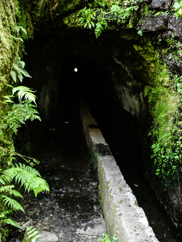 15.05.2019 Wenn ich schon mal hier bin: Levada das Rabacas — Durch den kurzen Tunnel zum langen Tunnel — Foto 2
