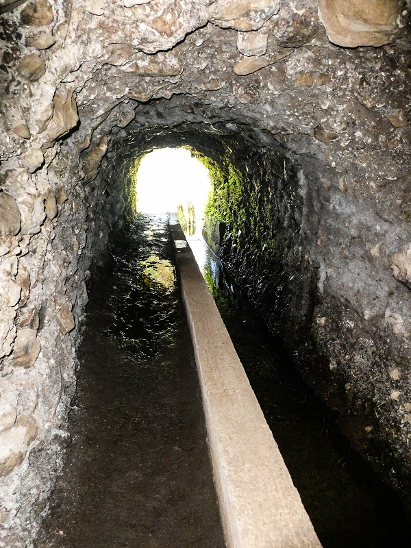 Levada das Rabacas — : Langer Tunnel bis zur Bachverbauung im Ribeiro do Choca — photo 19