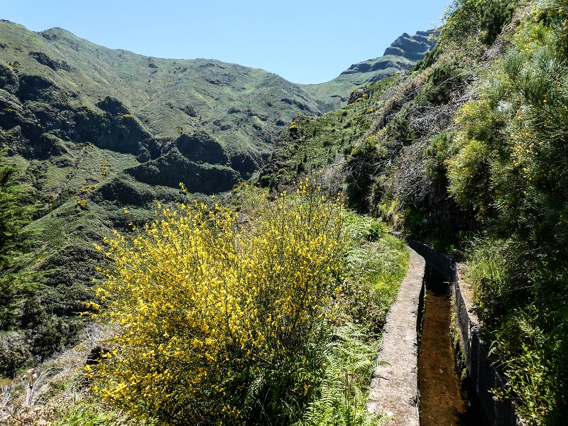 Levada das Rabacas — : Langer Tunnel bis zur Bachverbauung im Ribeiro do Choca — photo 17