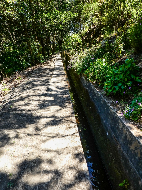 15.05.2019 Wenn ich schon mal hier bin: Levada das Rabacas — Auf der Levada das Rabacas bis zum kurzen Tunnel — Foto 4