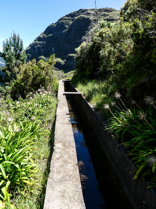 15.05.2019 Wenn ich schon mal hier bin: Levada das Rabacas — Durch den kurzen Tunnel zum langen Tunnel — Foto 7