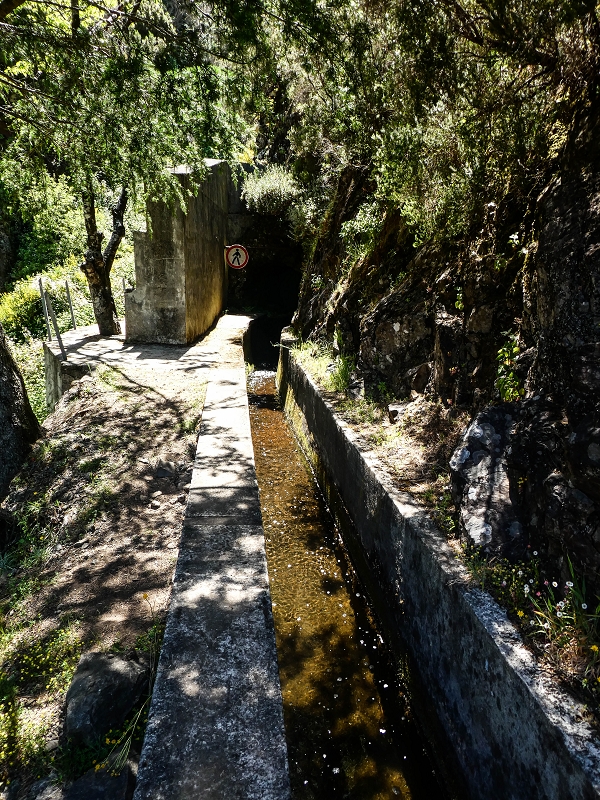 15.05.2019 Wenn ich schon mal hier bin: Levada das Rabacas — Durch den kurzen Tunnel zum langen Tunnel — Foto 9