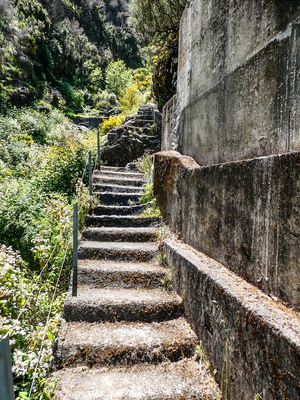 15.05.2019 Wenn ich schon mal hier bin: Levada das Rabacas — Durch den kurzen Tunnel zum langen Tunnel — Foto 11