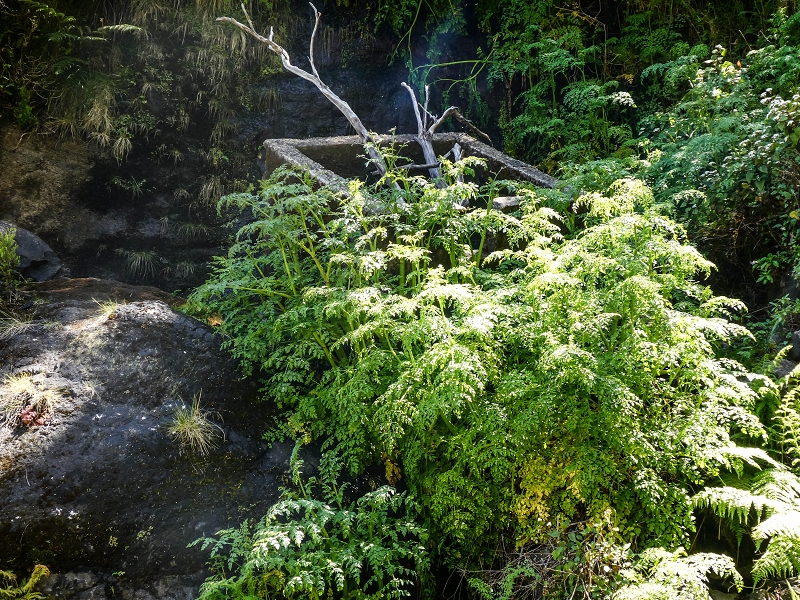 15.05.2019 Wenn ich schon mal hier bin: Levada das Rabacas — Durch den kurzen Tunnel zum langen Tunnel — Foto 12