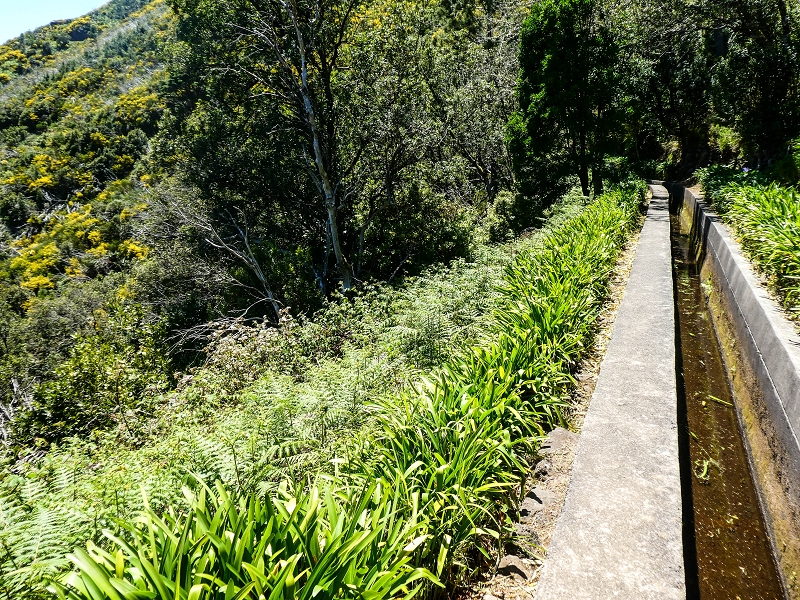 15.05.2019 Wenn ich schon mal hier bin: Levada das Rabacas — Auf der Levada das Rabacas bis zum kurzen Tunnel — Foto 5