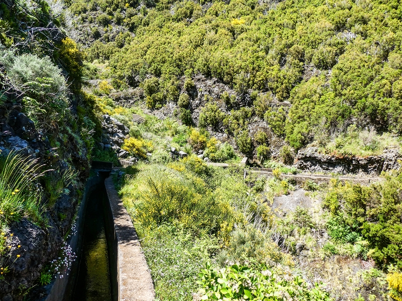 15.05.2019 Wenn ich schon mal hier bin: Levada das Rabacas — Zurück zur Bachverbauung — Foto 2