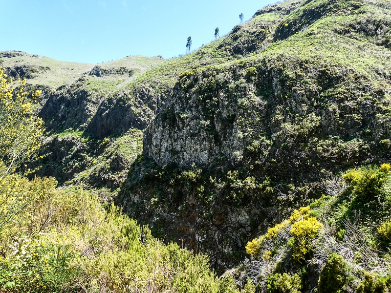 15.05.2019 Wenn ich schon mal hier bin: Levada das Rabacas — Zurück zur Bachverbauung — Foto 3