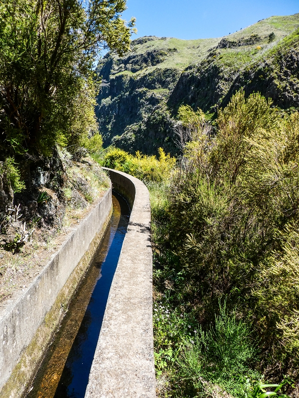 15.05.2019 Wenn ich schon mal hier bin: Levada das Rabacas — Zurück zur Bachverbauung — Foto 4