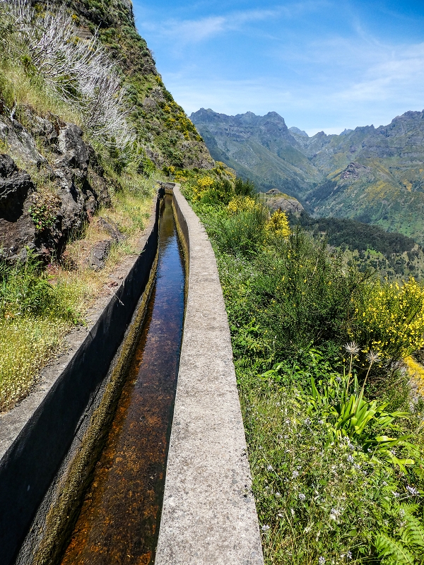 15.05.2019 Wenn ich schon mal hier bin: Levada das Rabacas — Zurück zur Bachverbauung — Foto 5