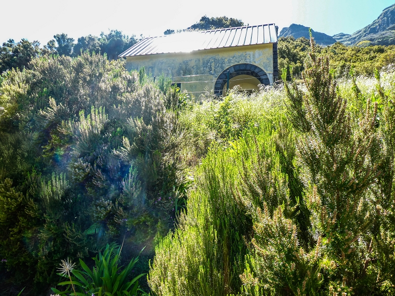 15.05.2019 Wenn ich schon mal hier bin: Levada das Rabacas — Zurück zur Bachverbauung — Foto 6