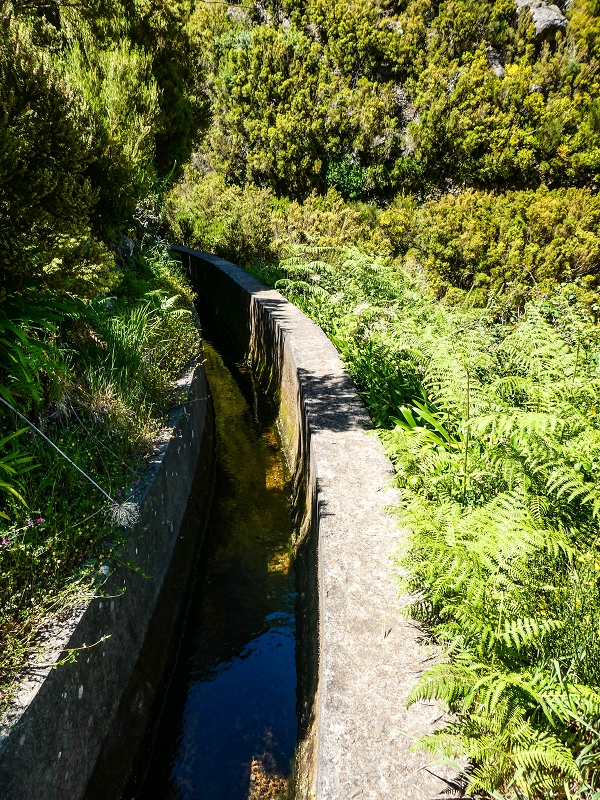 Levada das Rabacas — : Langer Tunnel bis zur Bachverbauung im Ribeiro do Choca — photo 14