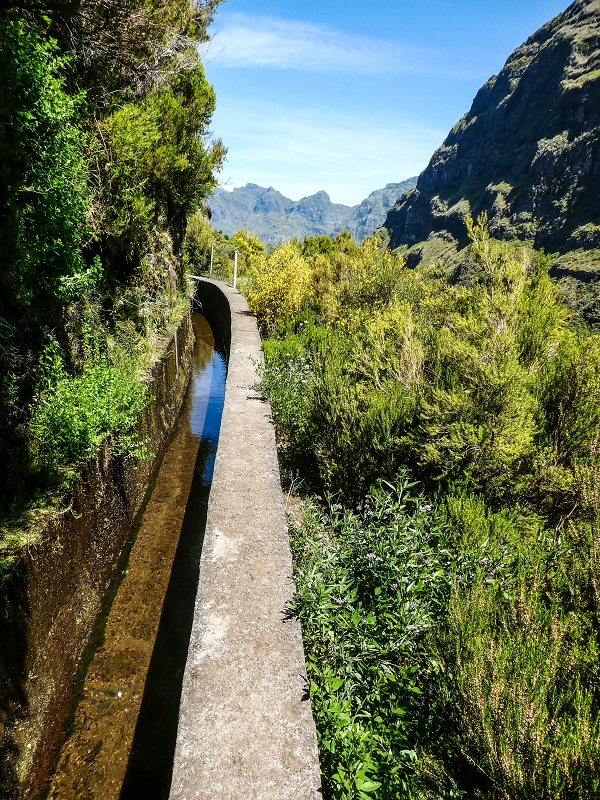 Levada das Rabacas — : Langer Tunnel bis zur Bachverbauung im Ribeiro do Choca — photo 15