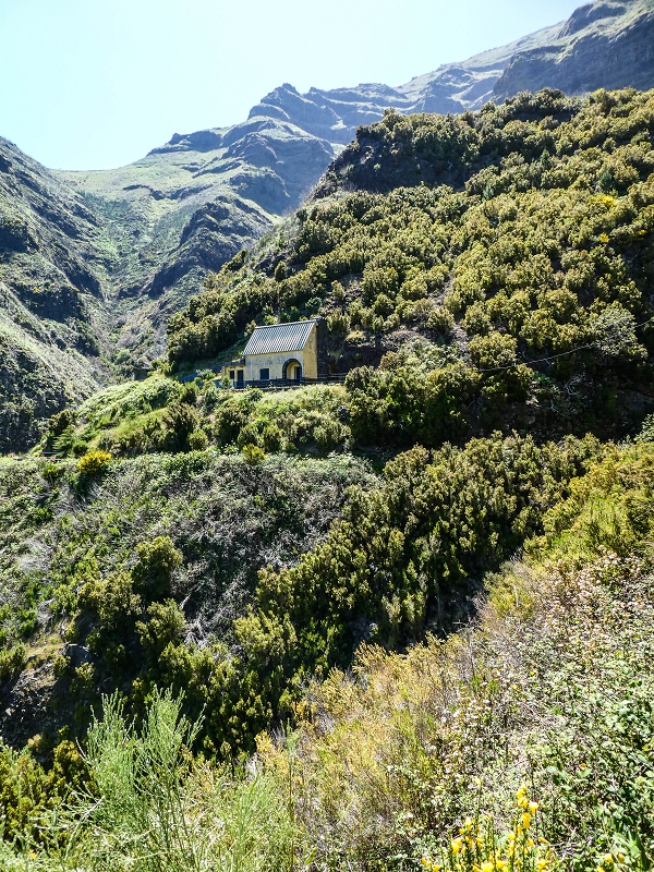 Levada das Rabacas — : Langer Tunnel bis zur Bachverbauung im Ribeiro do Choca — photo 16