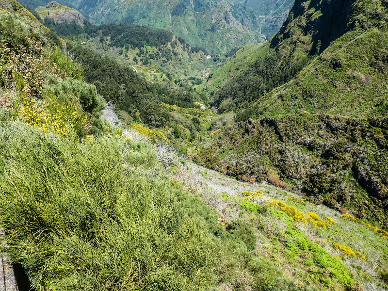 15.05.2019 Wenn ich schon mal hier bin: Levada das Rabacas — Zurück zur Bachverbauung — Foto 11