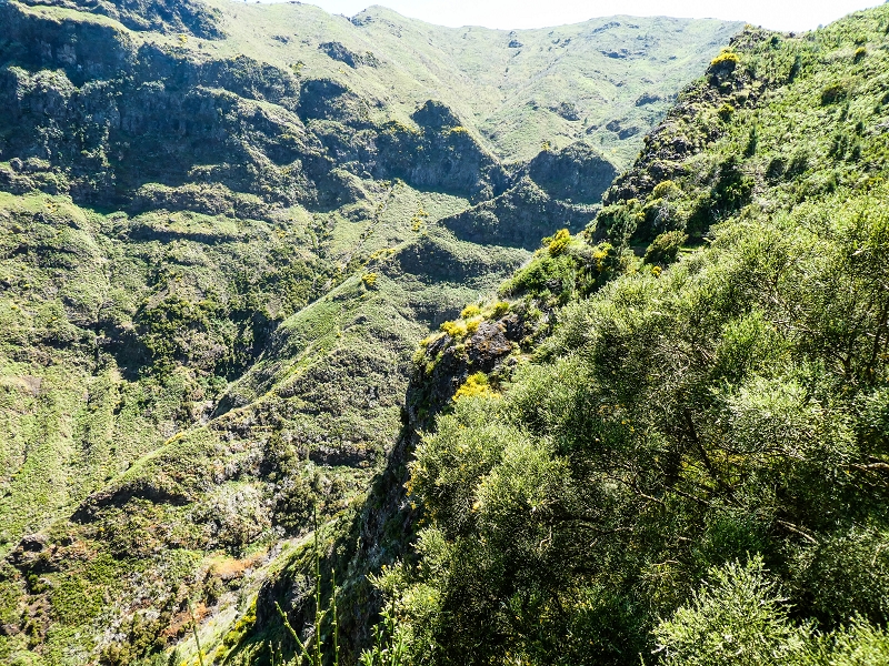 15.05.2019 Wenn ich schon mal hier bin: Levada das Rabacas — Zurück zur Bachverbauung — Foto 12
