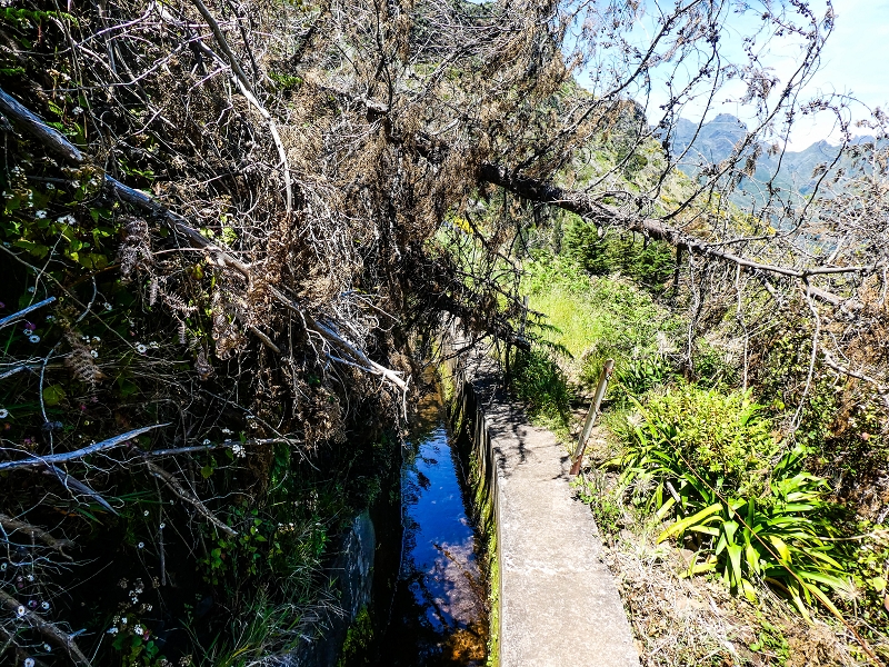15.05.2019 Wenn ich schon mal hier bin: Levada das Rabacas — Zurück zur Bachverbauung — Foto 13