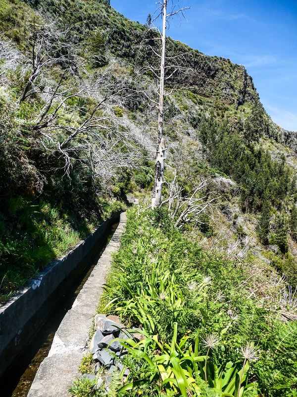 15.05.2019 Wenn ich schon mal hier bin: Levada das Rabacas — Zurück zur Bachverbauung — Foto 14