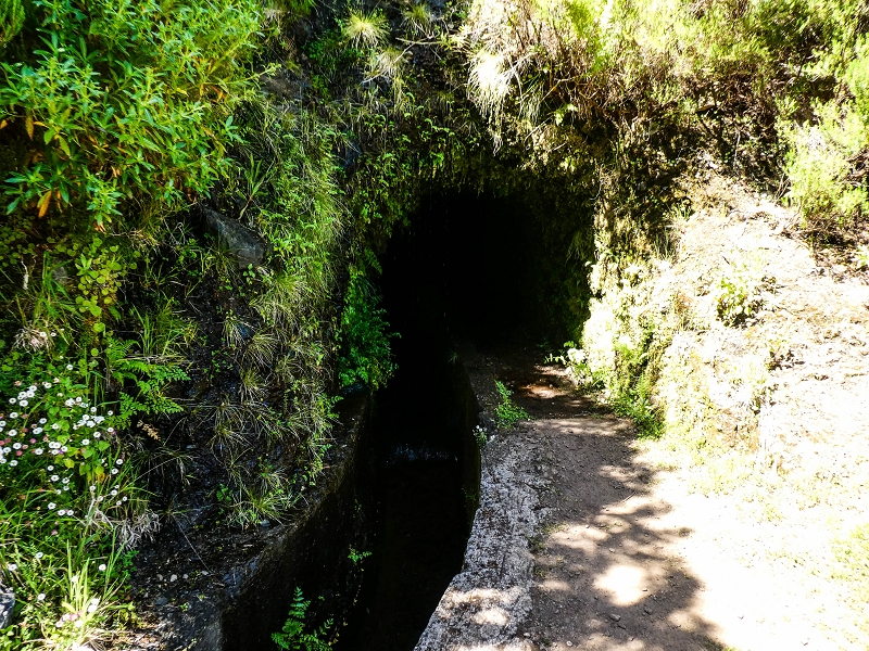 Levada das Rabacas — : Langer Tunnel bis zur Bachverbauung im Ribeiro do Choca — photo 18