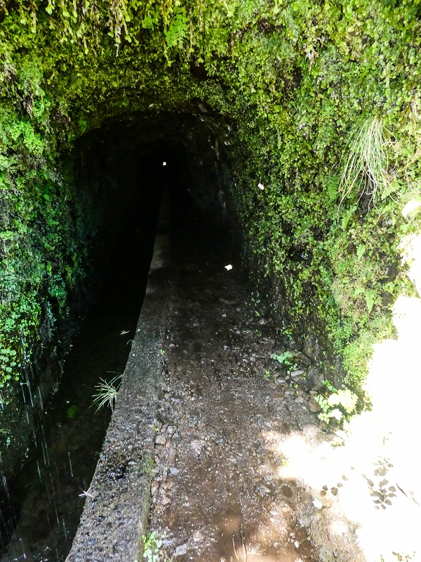 15.05.2019 Wenn ich schon mal hier bin: Levada das Rabacas — Zurück zur Bachverbauung — Foto 16