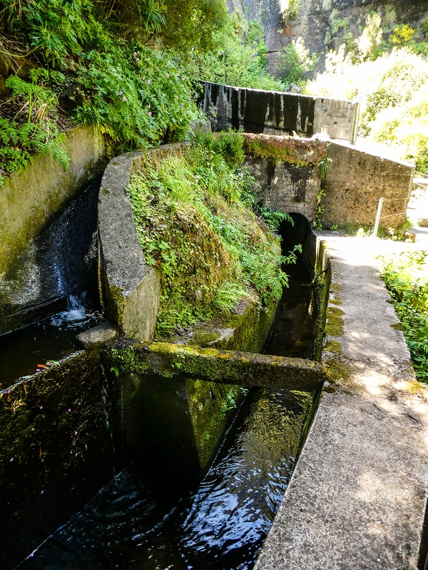 15.05.2019 Wenn ich schon mal hier bin: Levada das Rabacas — Zurück zur Bachverbauung — Foto 17