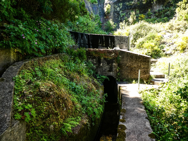 15.05.2019 Wenn ich schon mal hier bin: Levada das Rabacas — Zurück zur Bachverbauung — Foto 18